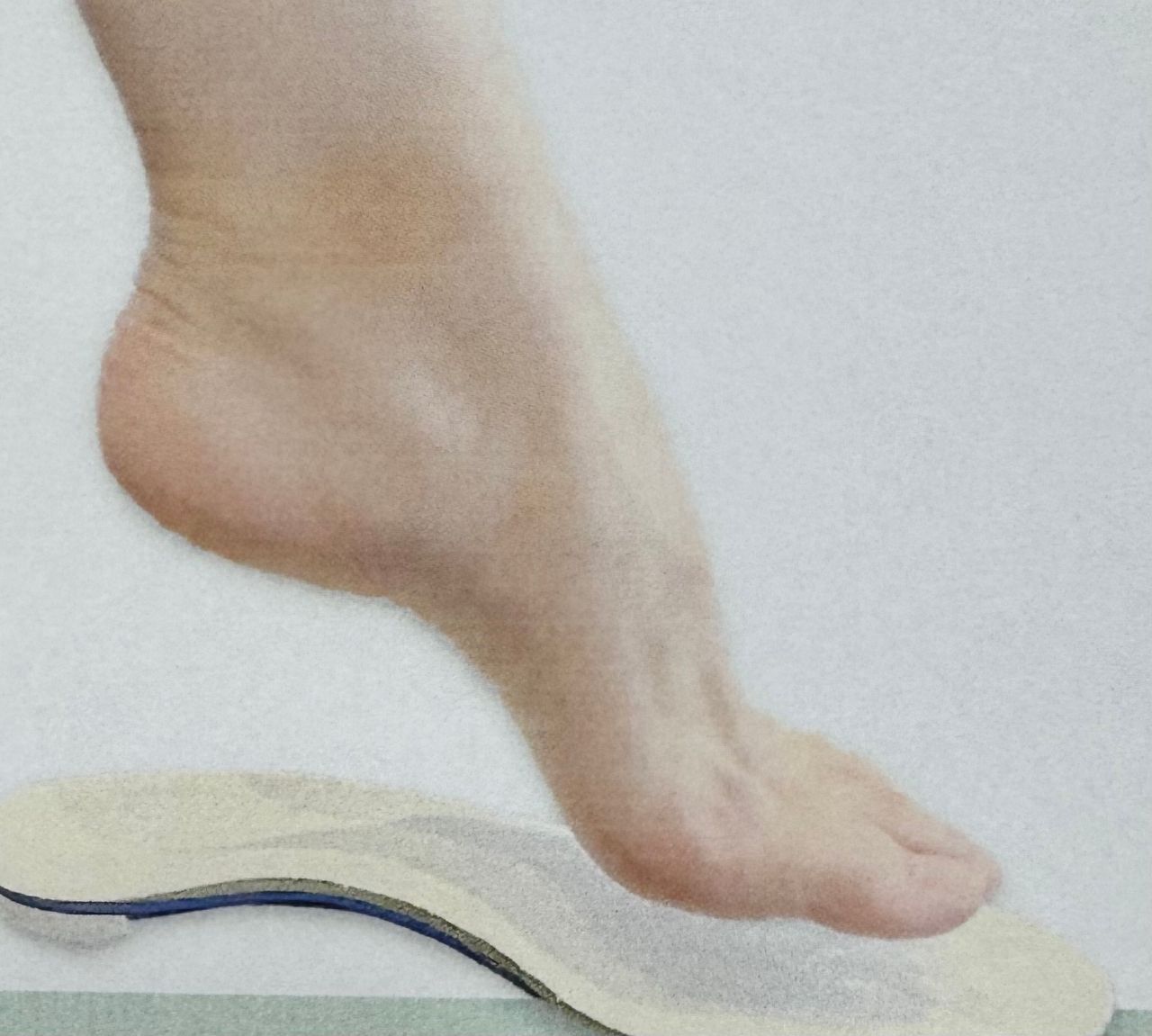 maruko.ページ 限定色発売 | 掛川店 | メイキングランジェリー・補整下着