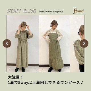 feminine sheer turtle2～ﾌｪﾐﾆﾝｼｱｰﾀｰﾄﾙ2 | flower／フラワー公式通販
