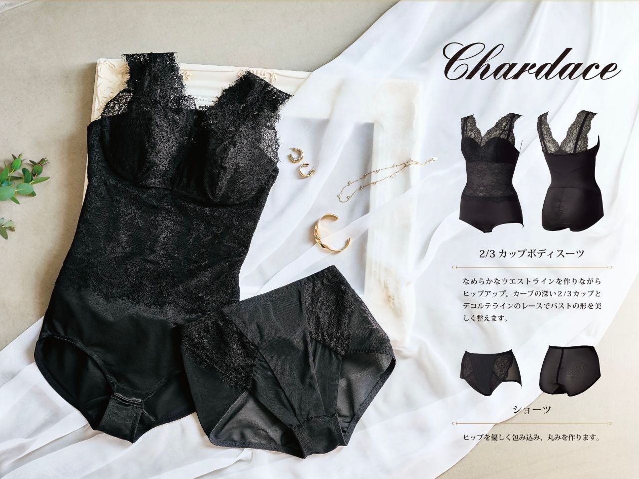 maruko.ページ 新商品「シャルダス」が発売♪ | 梅田阪急17番街店 | メイキング