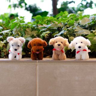 TUNISIAN OLIVES / チュニジア オリーブ | アントレックス公式ブログ