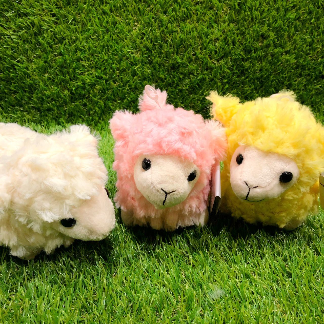 ♡もふもふ♡新商品！ | みなとみらい東急スクエアストア | フライング