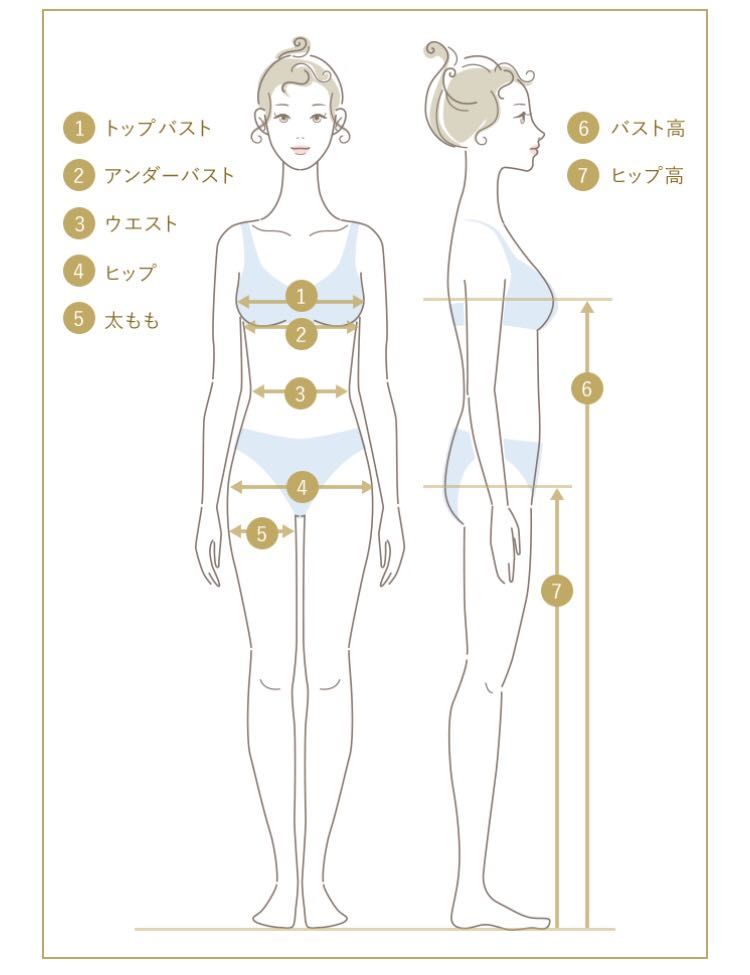 美しいプロポーションとは 札幌南一条店 メイキングランジェリー 補整下着 マルコの公式ブログ Maruko Official Blog