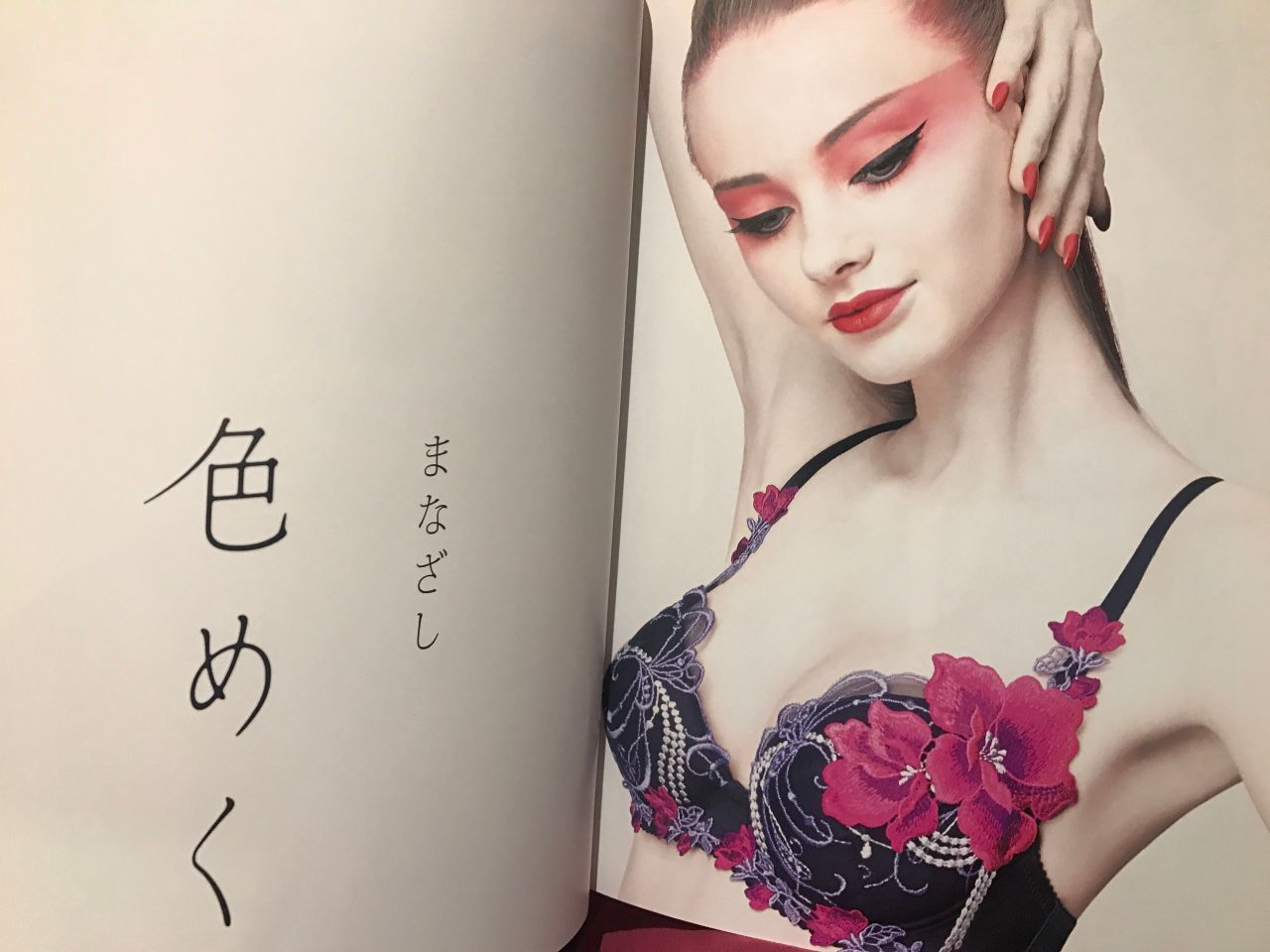 サルート カタログ Salute カタログコレクション サルート 2014〜2024