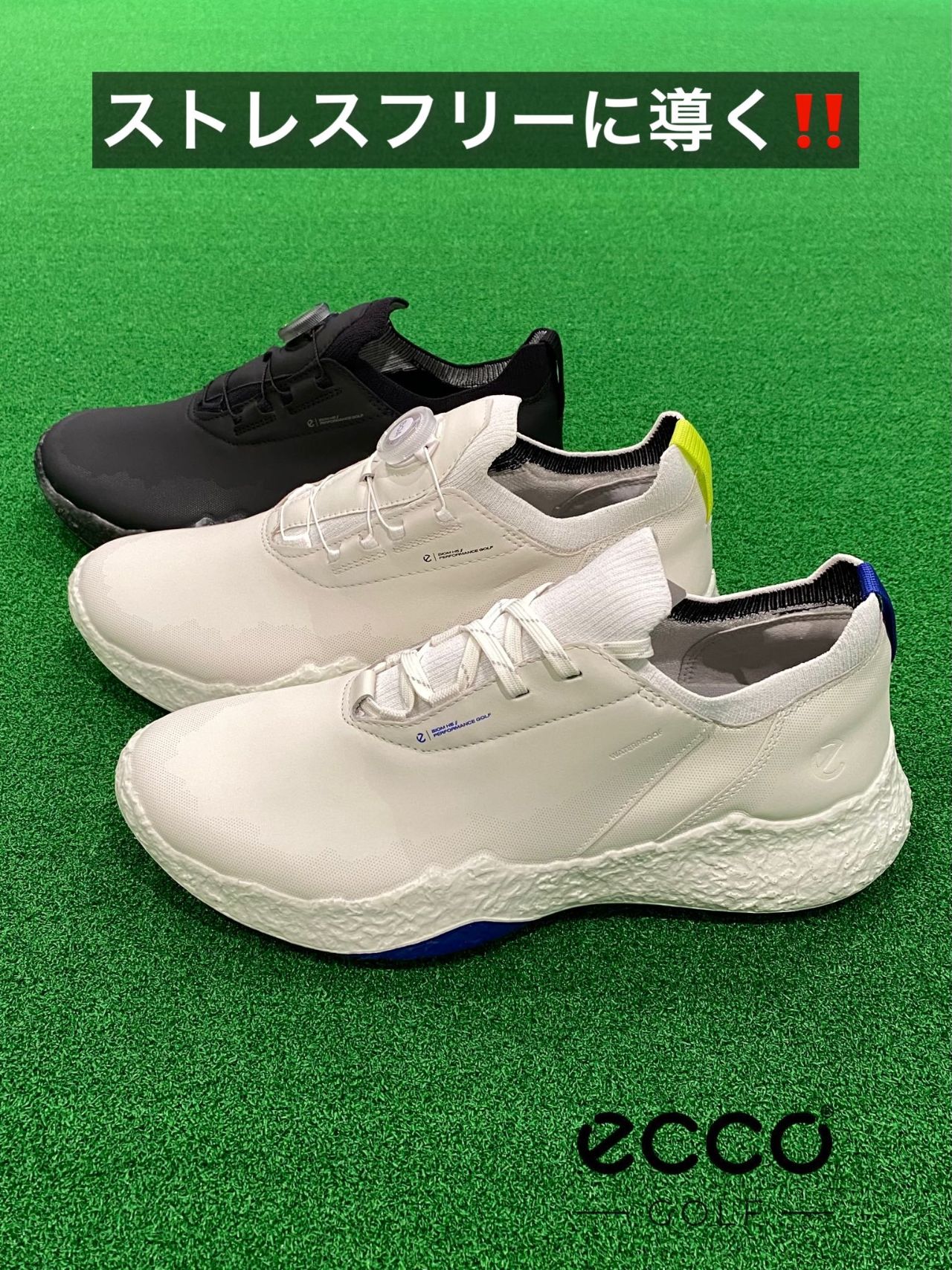 2025年2月14日発売‼️】eccoシューズ⭐️ | ゴルフ5 プレステージ神戸