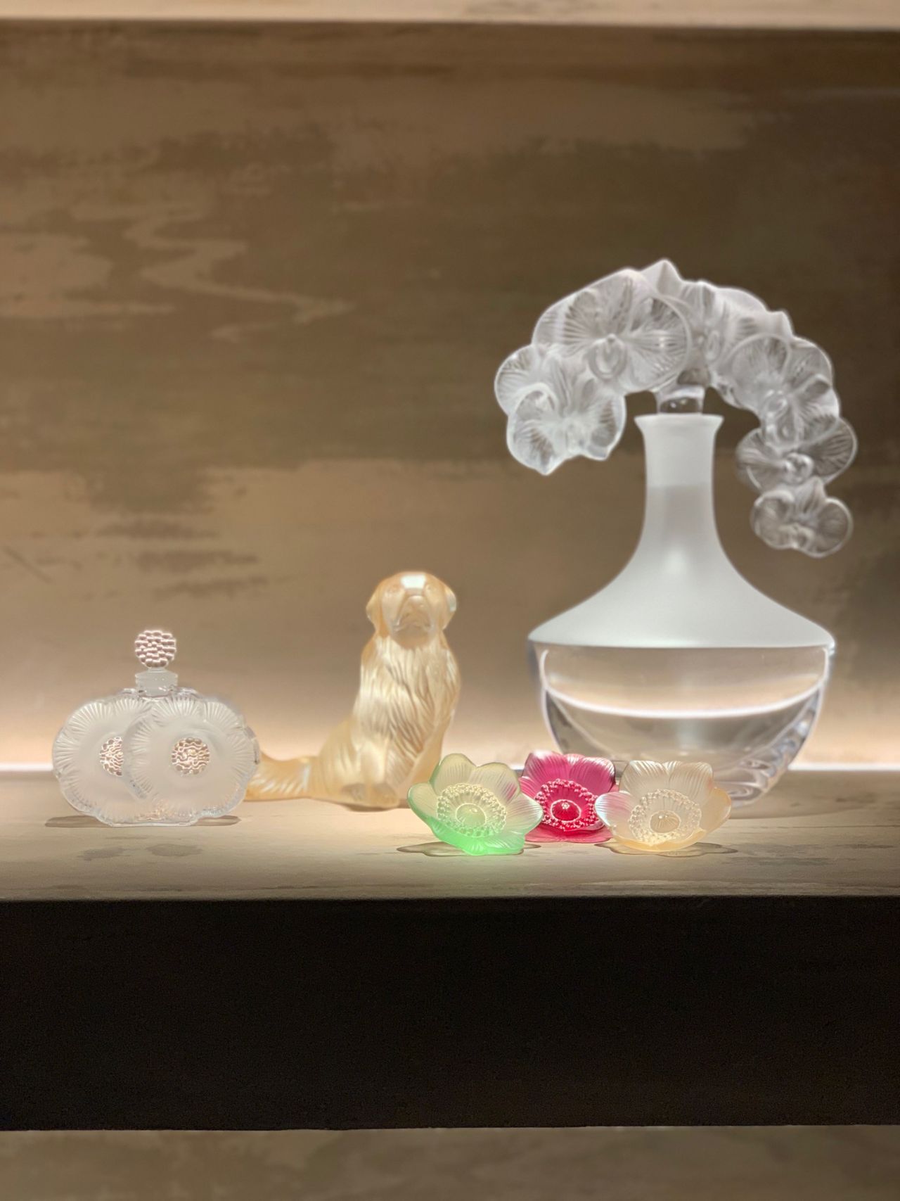 非対称な造形美☆ | 岡山拠点のトミヤコーポレーション公式ショップブログ