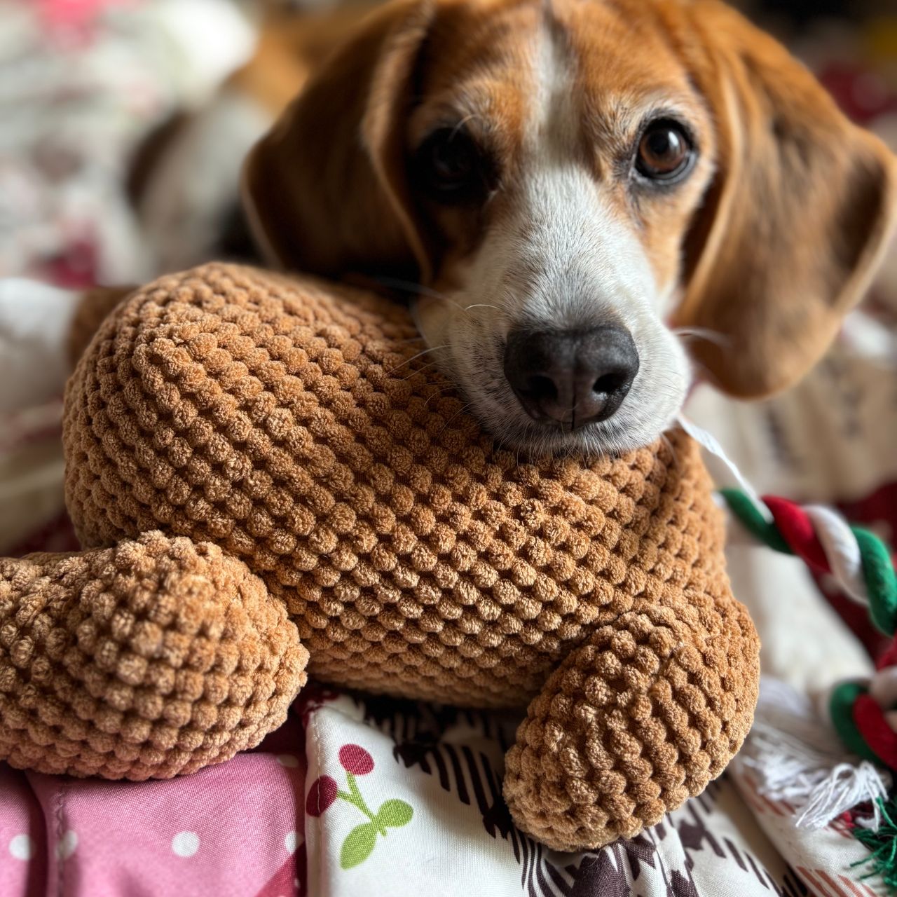 フライング タイガー コペンハーゲン | Flying Tiger Copenhagen