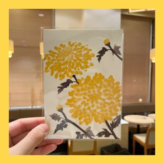 数量限定】季節のポストカード 10月ver｜ナナズグリーンティー たま