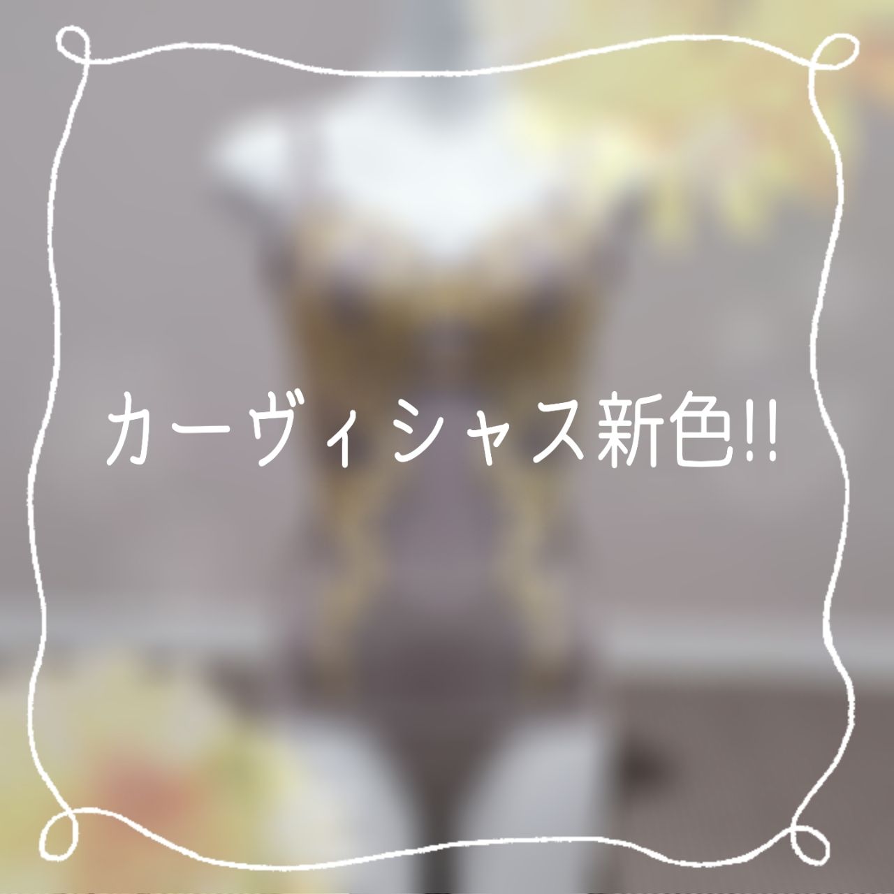 山科店 | メイキングランジェリー・補整下着 マルコの公式ブログ