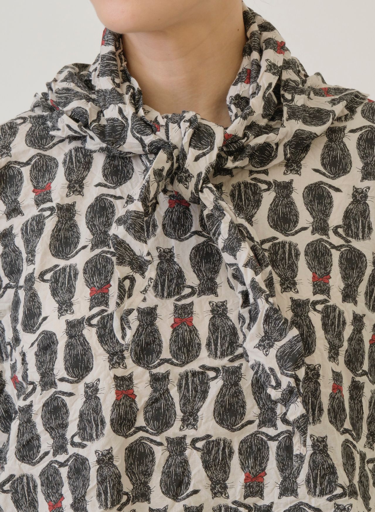 cat! cat! cat! | pas de calais Online | pas de calais | パドカレ