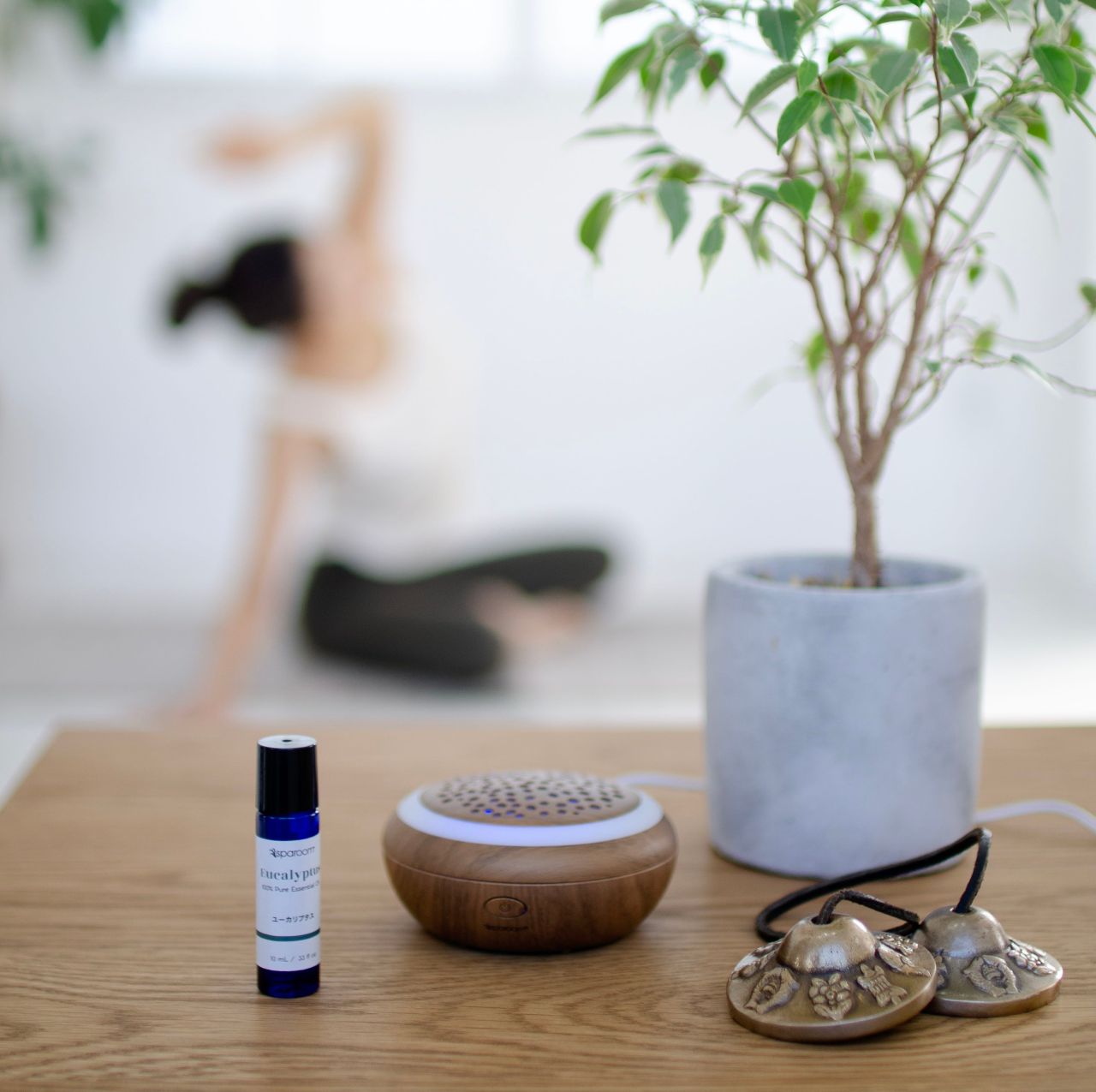 ユーカリ 精油の効果 効能 オススメの使い方紹介 Sparoom アントレックス公式ブログ