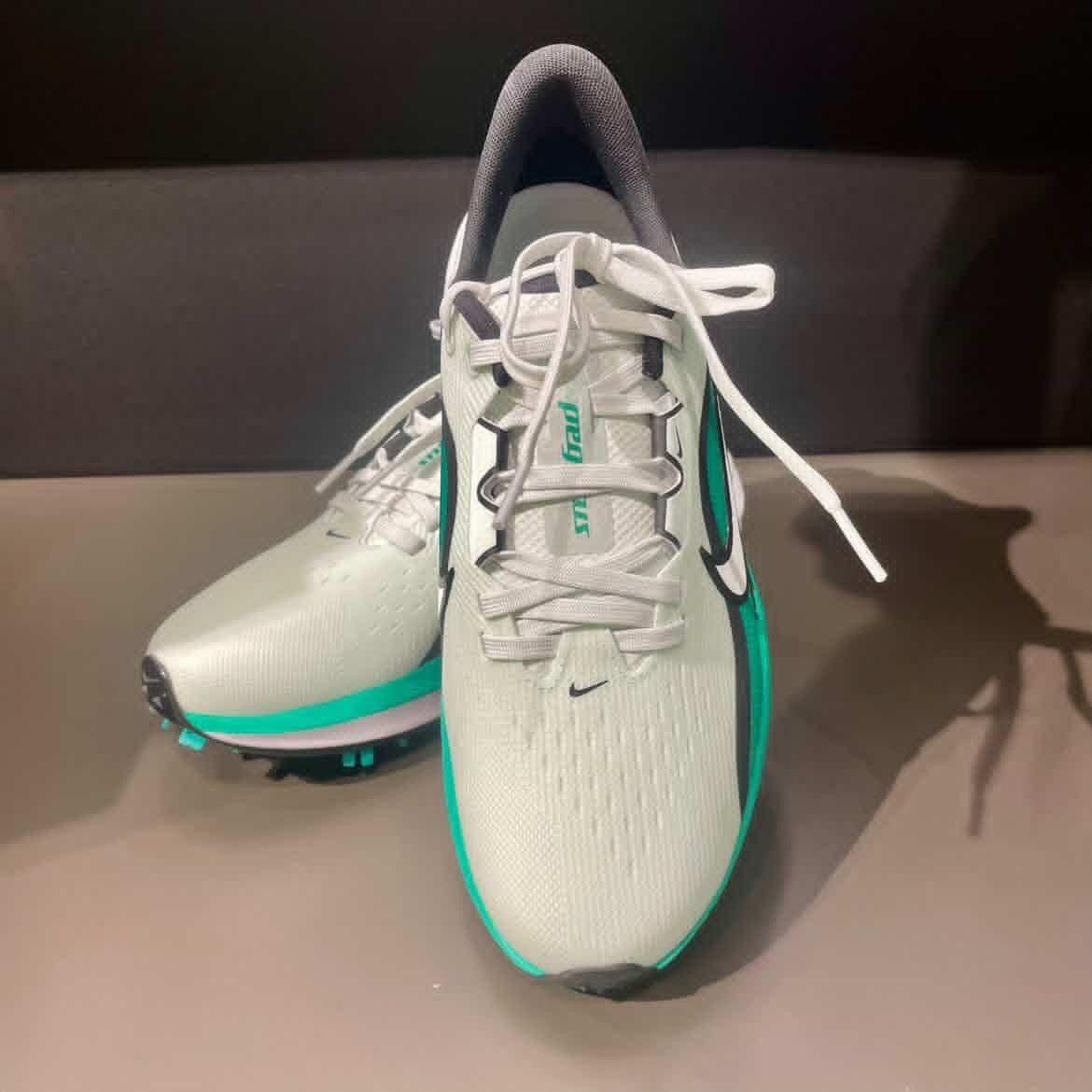 【再値下げ】ナイキ　NIKE ゴルフシューズ　エアペガサス　25.5 Nike】ペガサス 限定カラー入荷しました | ゴルフ5 プレステージ名古屋