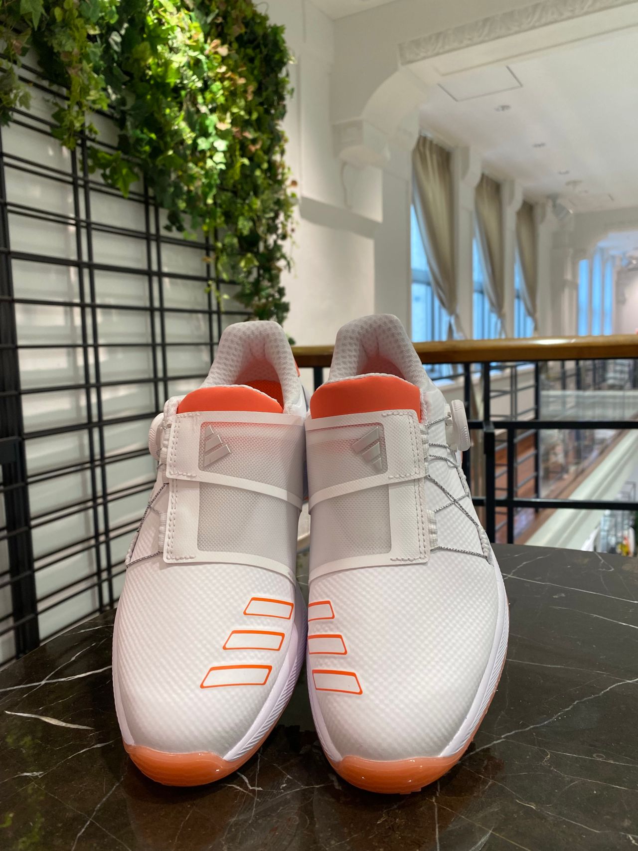 adidas ZG23BOA】 | ゴルフ5 プレステージ神戸店 | ゴルフ5 / GOLF5