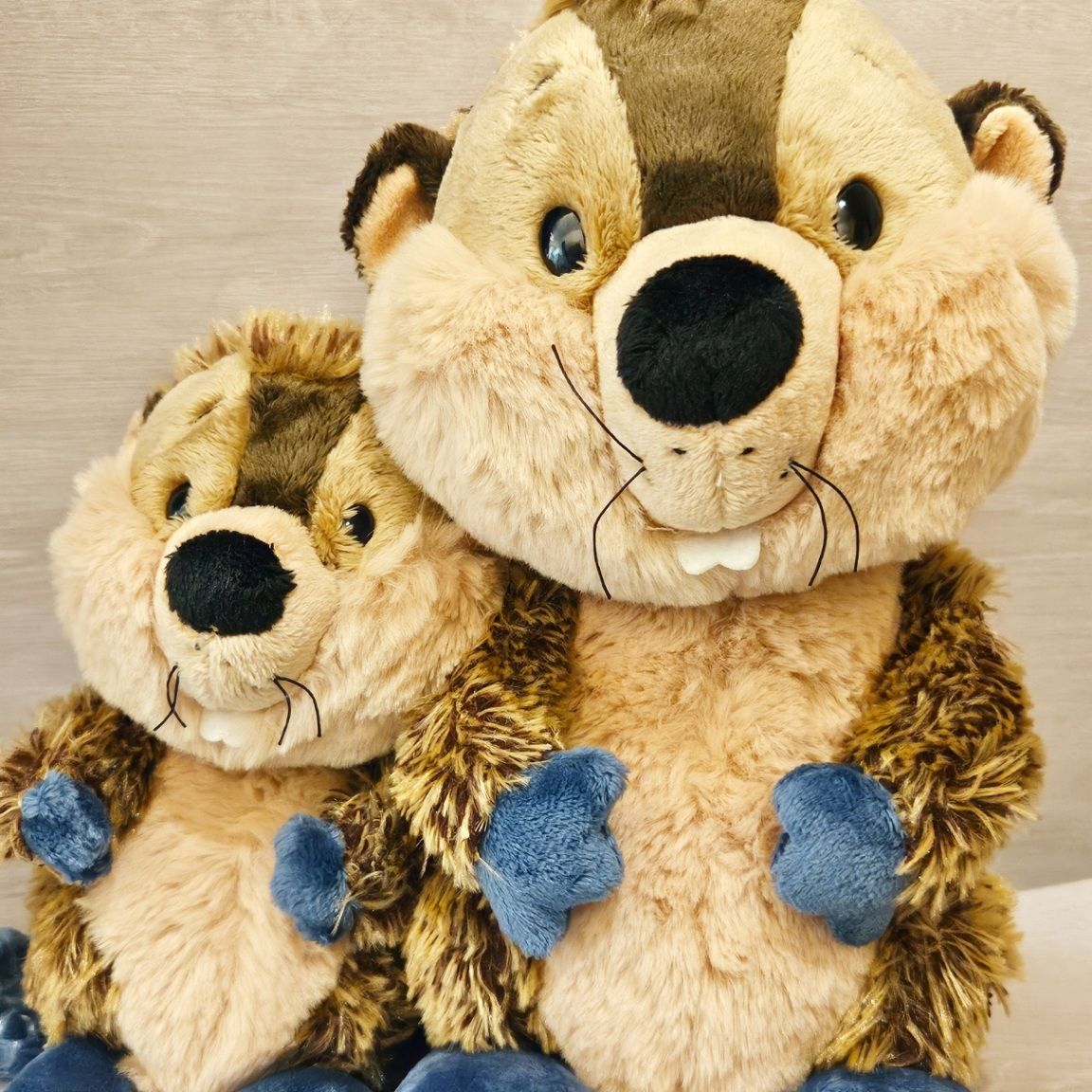 2025年9月新商品】NICI クラシックベア2025シリーズ | Rainbow