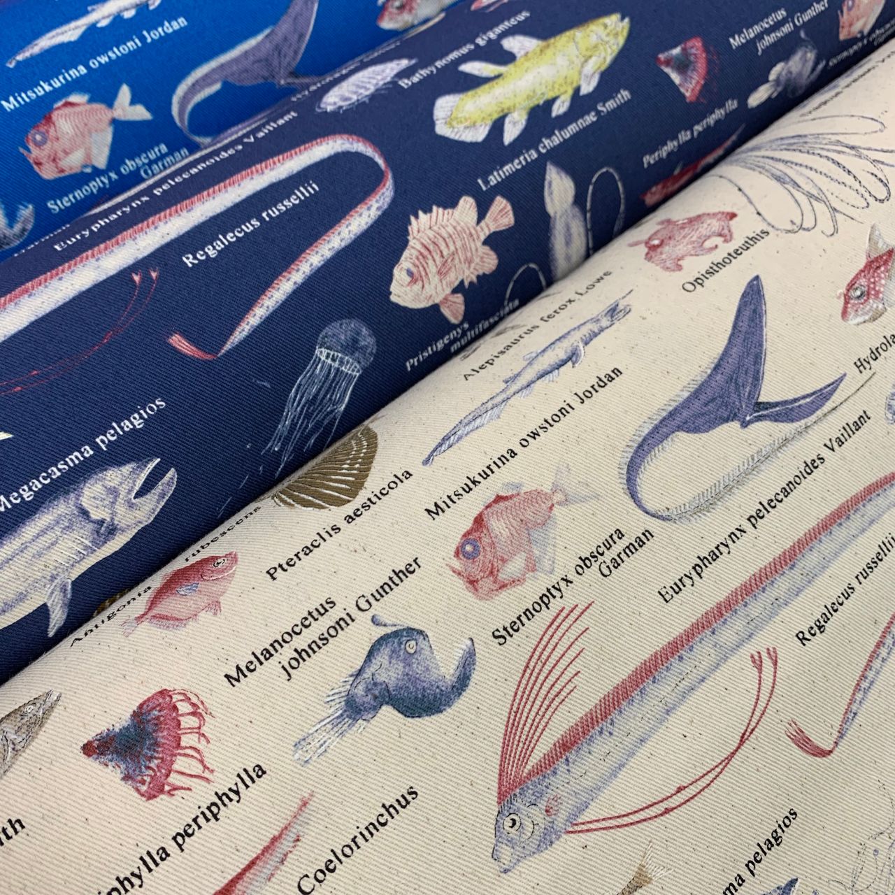 図鑑風 深海魚プリント 新宿アルタ 生地館4階 5階 生地 手芸用品のオカダヤ Okadaya 公式ショップブログ