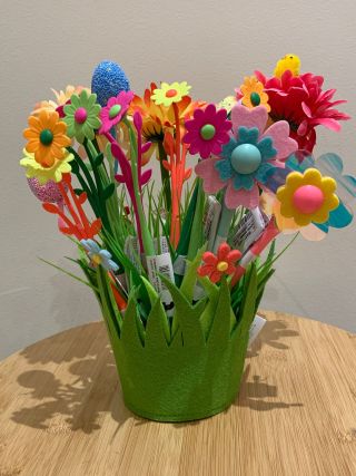 チガヤのフライングボール ボールリース 河原母子 チガヤのフライング