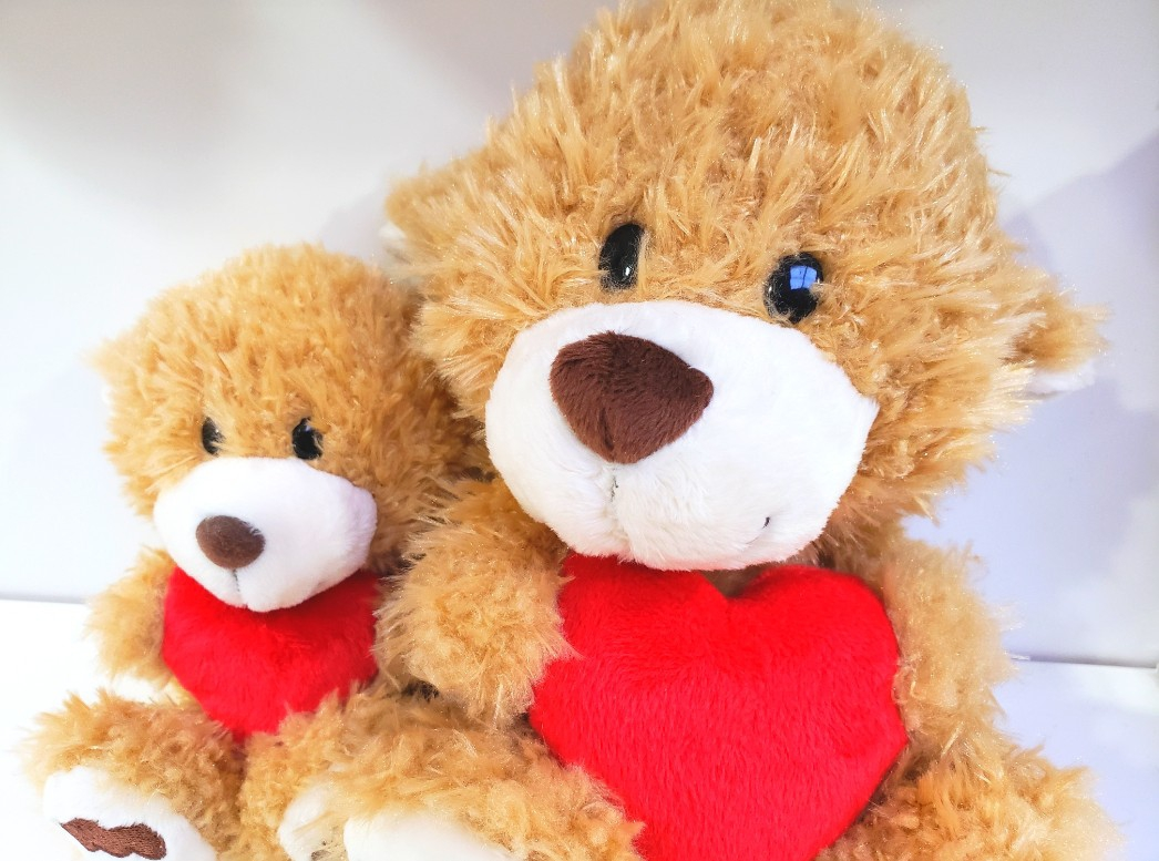 NICI ハートベア | Rainbow SPECTRUM エチカ池袋 | アントレックス公式