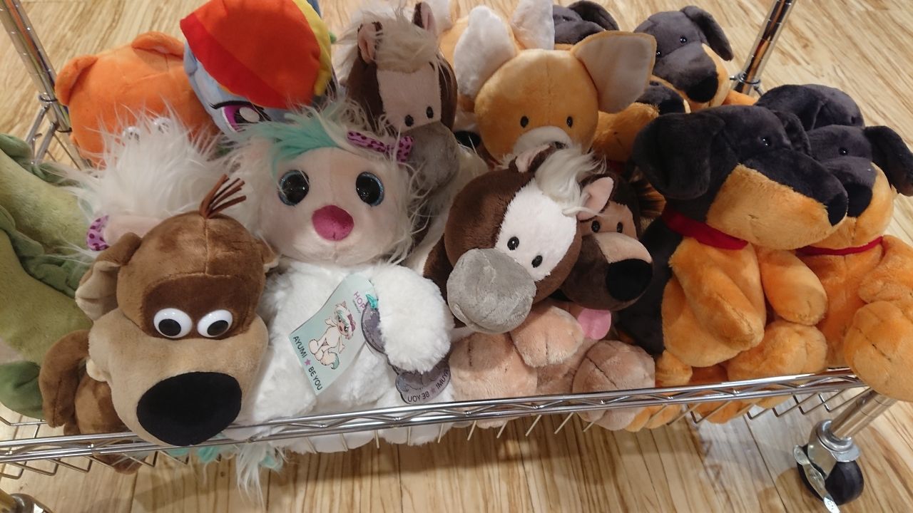 GW限定企画！！大人気NICIの詰め放題を開催！ | entre vida菖蒲