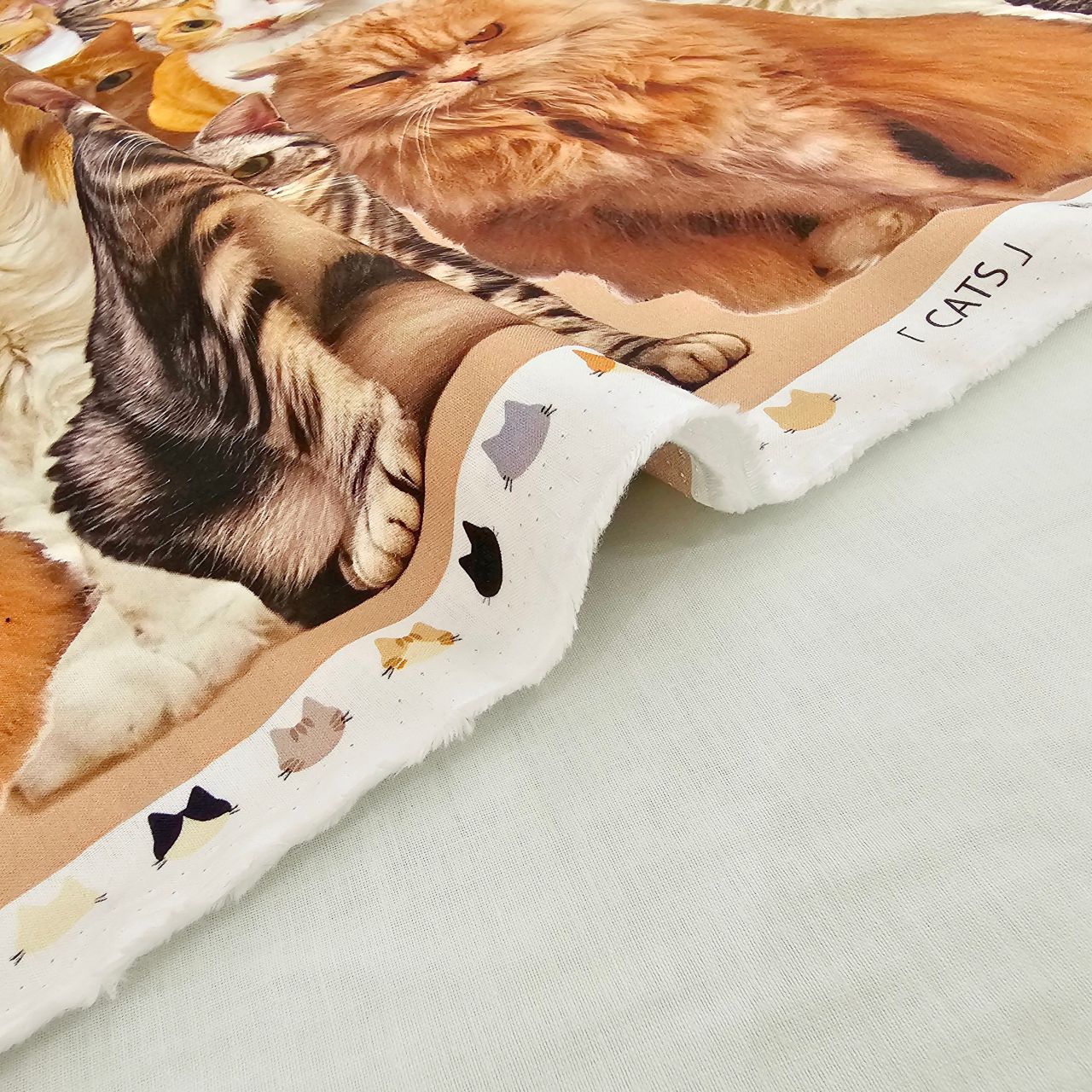 インクジェットプリント猫・トイプードル柄生地入荷しました | 9F