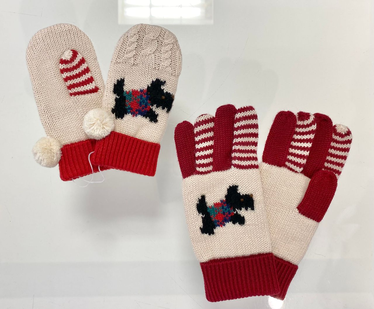 26日（水）よりノベルティプレゼント♪】冬支度、はじめませんか