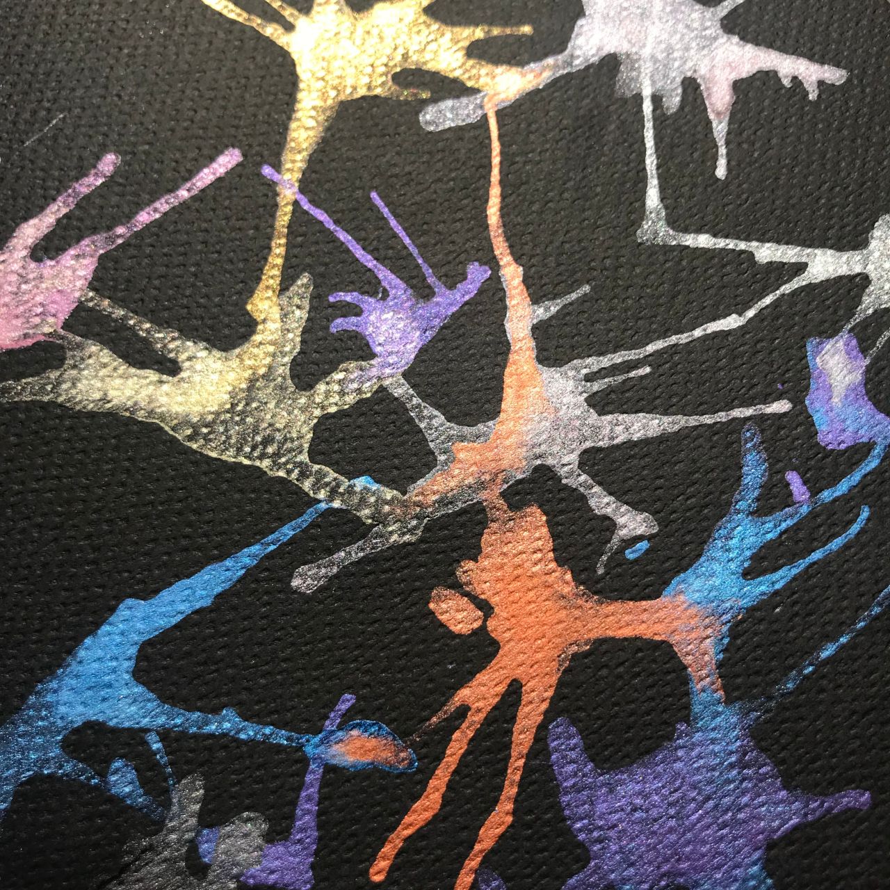 生物細密画（水彩）「ブラックタイガー」 生物細密画（水彩）「ブラックタイガー」