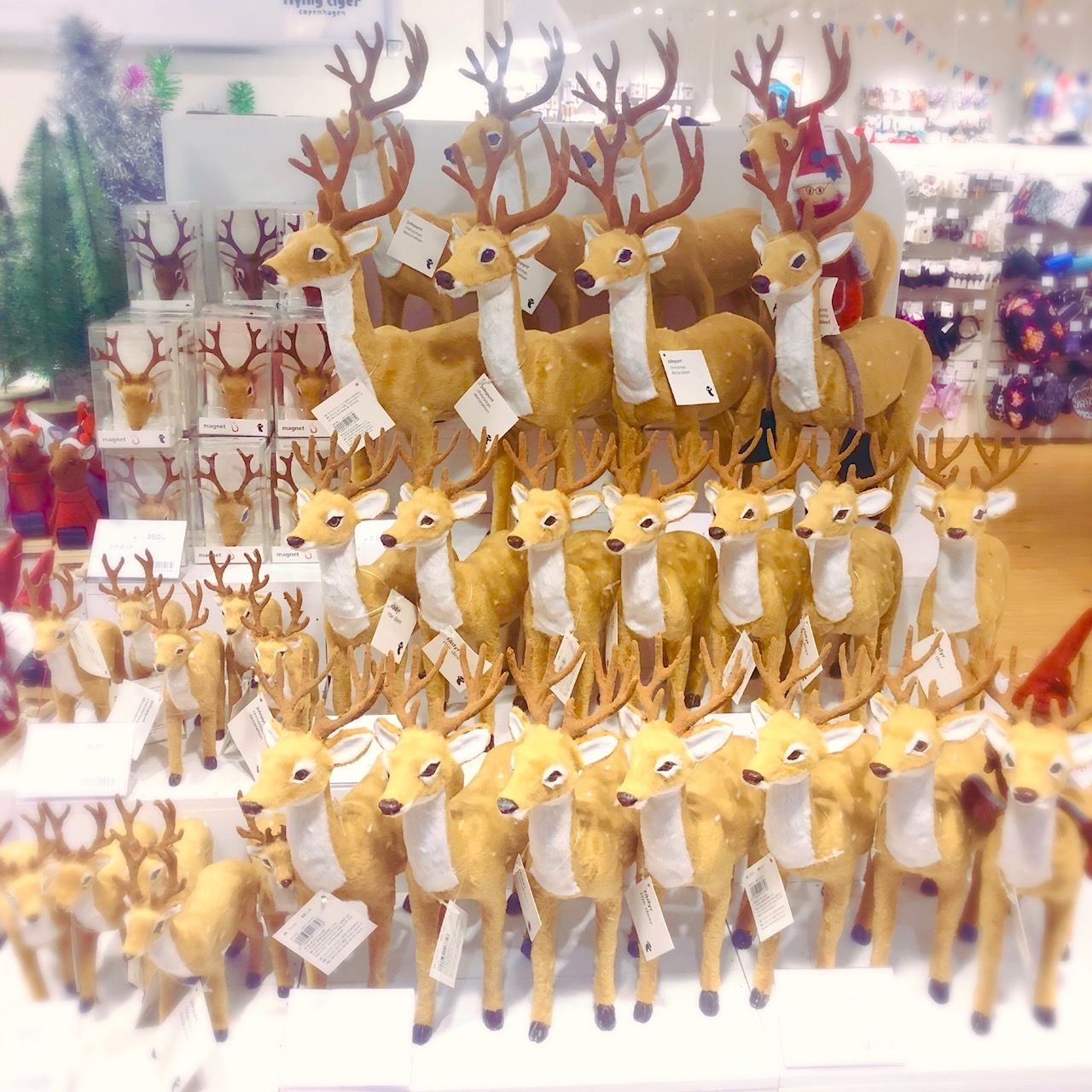 トナカイ トナカイ・トナカイ・トナカイ！ | ららぽーと湘南平塚ストア
