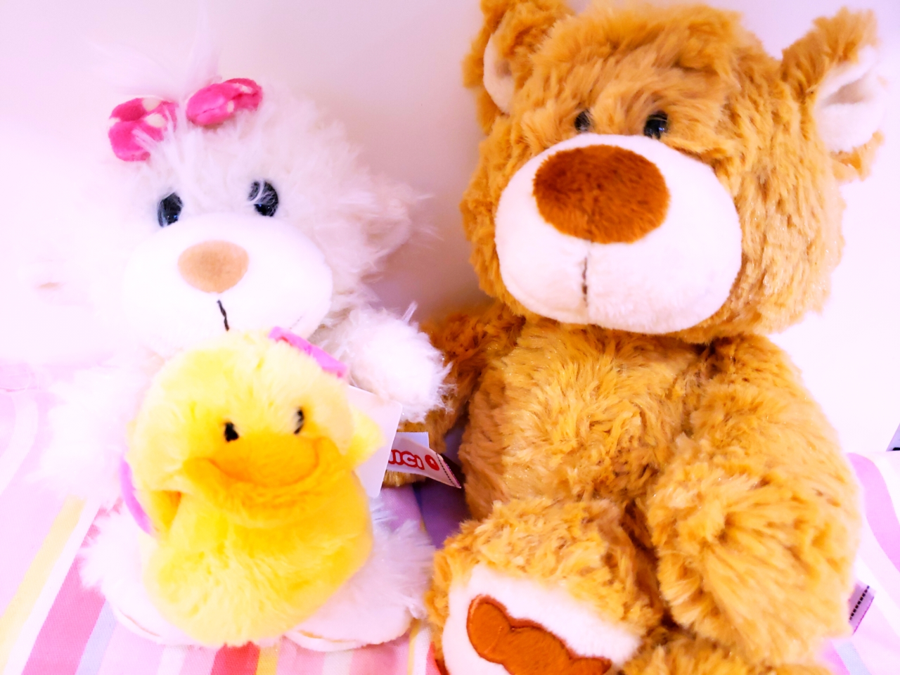 NICI クラシックベア11 | Rainbow SPECTRUM エチカ池袋