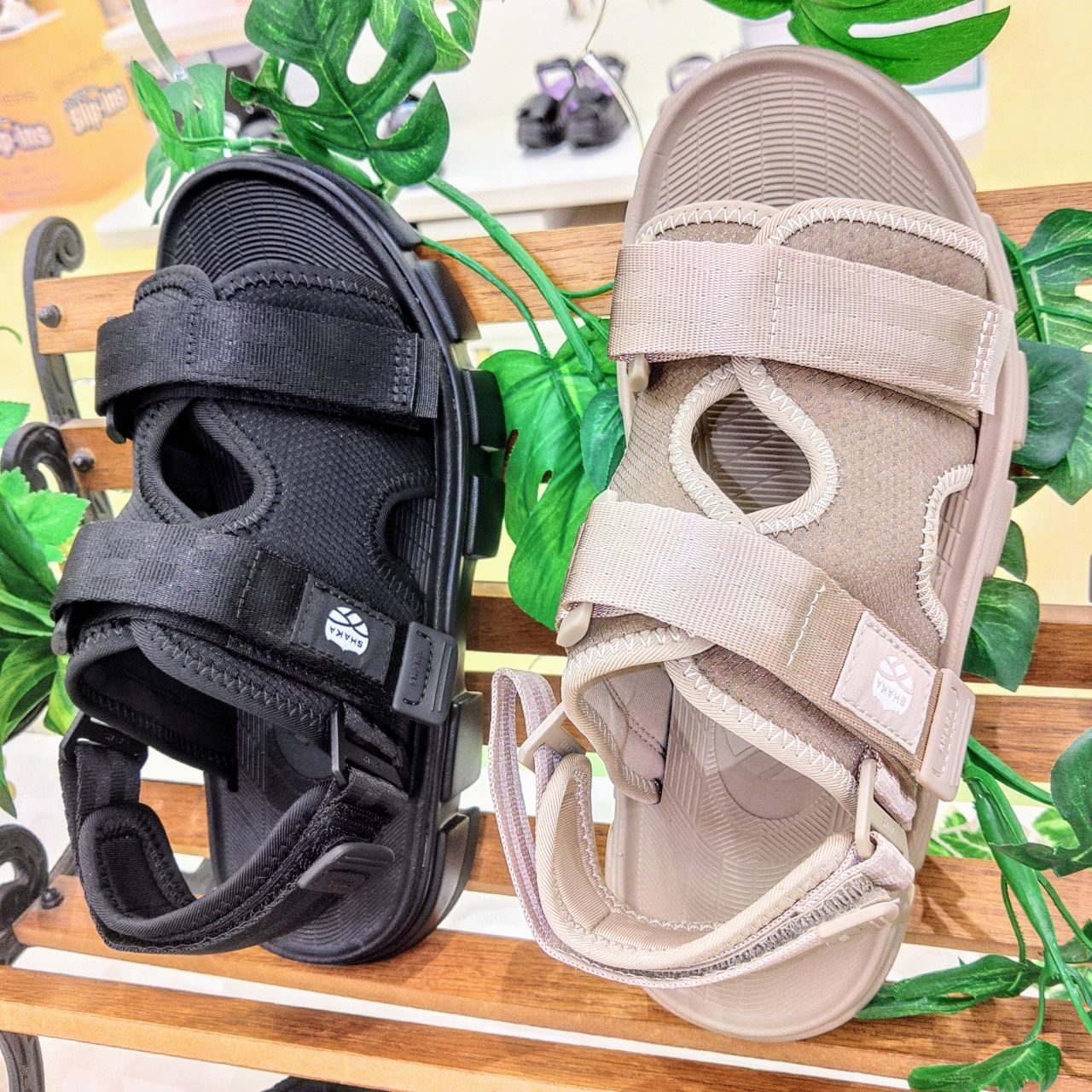 SEINAファルダ3点 ー24SS-NEO FIESTA PLATFORMーSHAKA(シャカ)公式オンラインストア