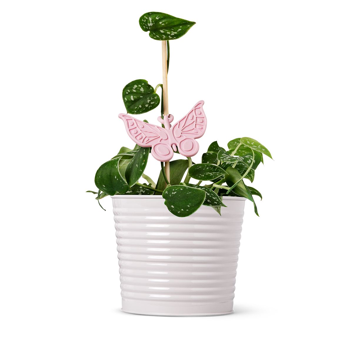植物ホルダー（バタフライ） | フライング タイガー コペンハーゲン