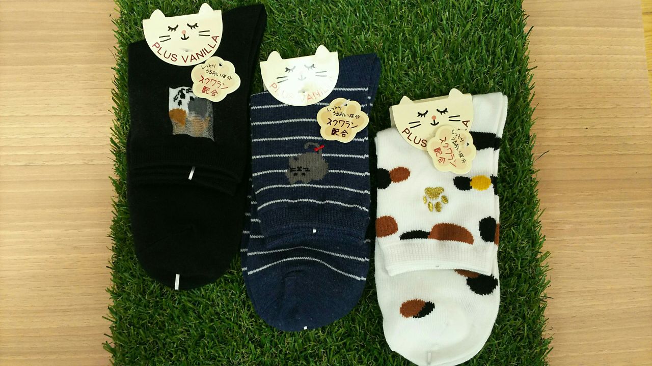 オススメ 猫柄ソックス Copo 垂水店 靴下 タイツ ストッキングのコポ Copo 公式ショップブログ