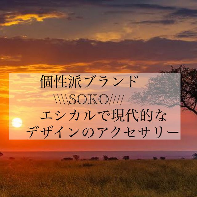 アウトレット】ソコ SOKO ピアス NUSU HORN STUD JE182022-HN0