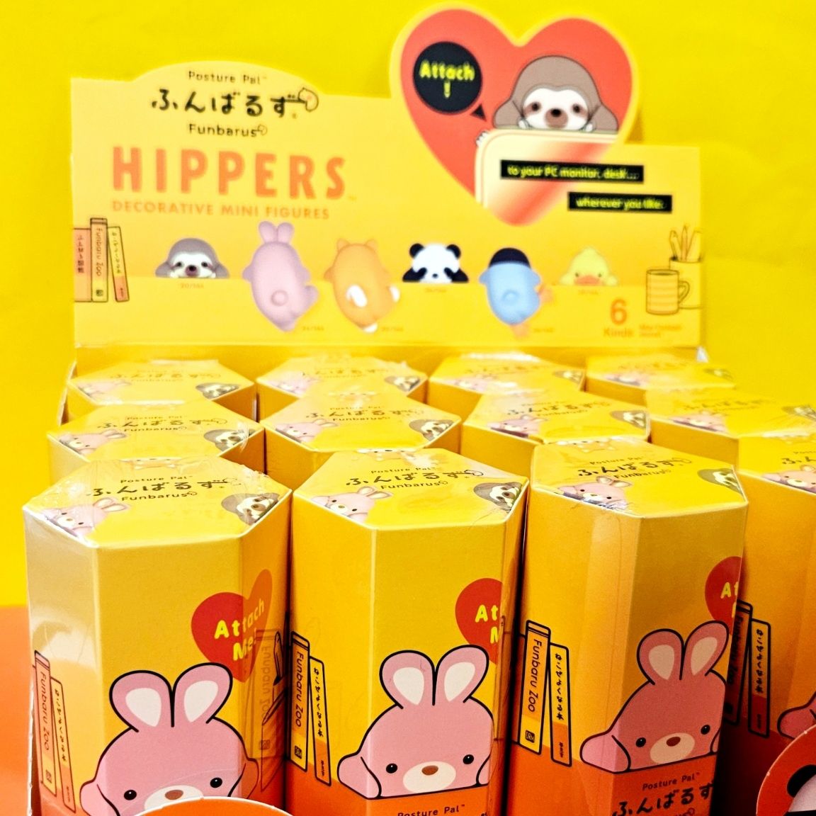 メラルーカ　【sunnyさまご依頼品】 メラルーカ【sunnyさまご依頼品】