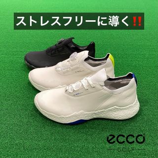 2025年2月14日発売‼️】eccoシューズ⭐️ | ゴルフ5 プレステージ神戸