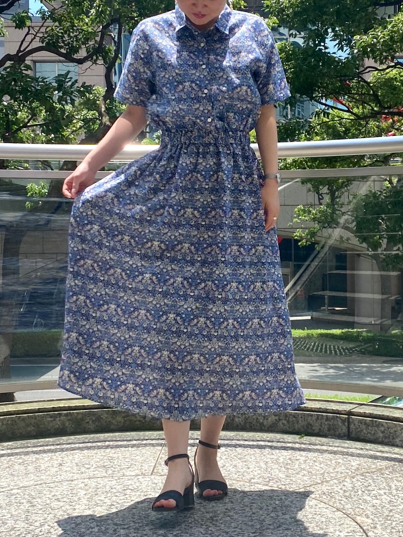 Lhiannan:Shee 彼女のドレス・いちご泥棒 Lhiannan:Shee 彼女のドレス・いちご泥棒
