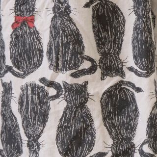 cat! cat! cat! | pas de calais Online | pas de calais | パドカレ