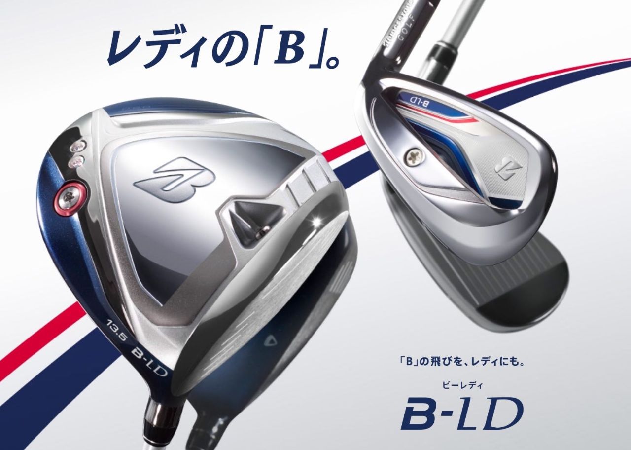 ブループリント 6番アイアン NSPRO950GH neo フレックスS 特注 納期2-5