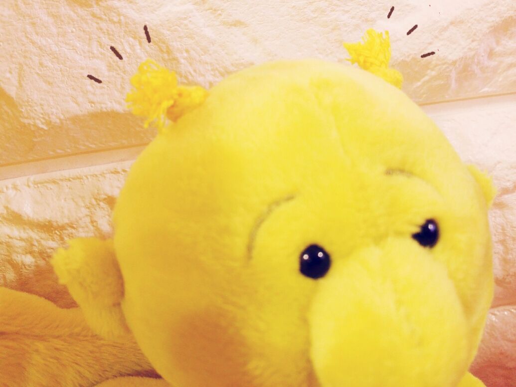 NICI 2017.05月 新商品Part2 | Rainbow SPECTRUM エチカ池袋