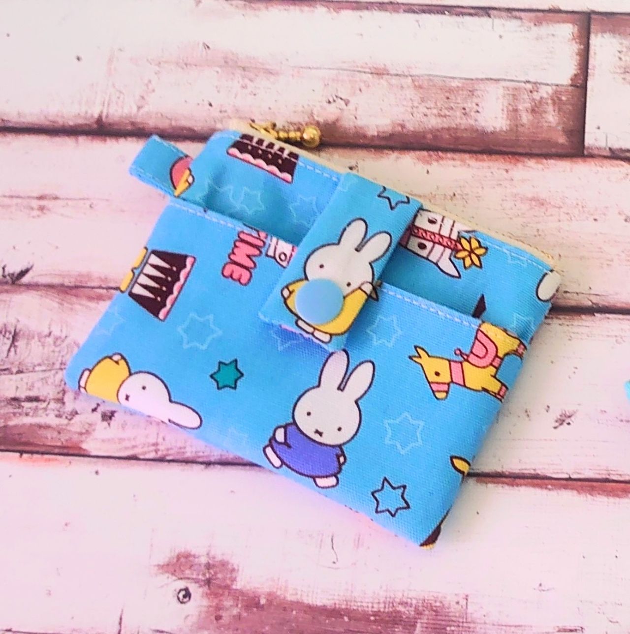 まや.。　パスケース 左右スライド式扉パスケース (259系成田エクスプレス.273系特急