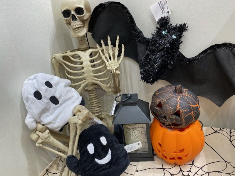 イヌハリゴン ハロウィン スリコのこのハロウィングッズ見た時からハルにつけたい‼︎と