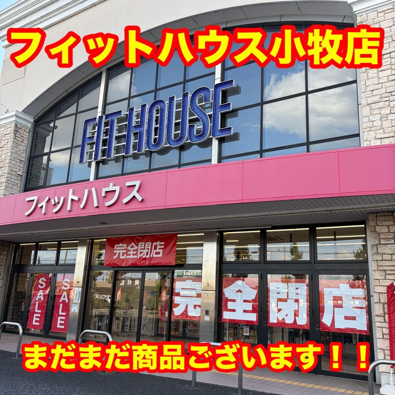 ザネラートポスティーナの検索結果 | フィットハウス公式ショップ 