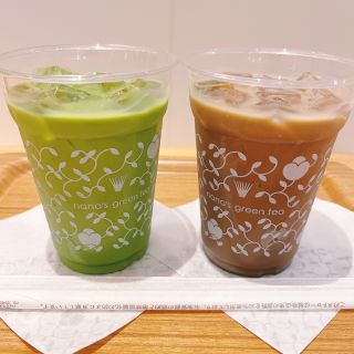 nana's green tea人気定番ドリンク‼【抹茶ラテ】【ほうじ茶ラテ