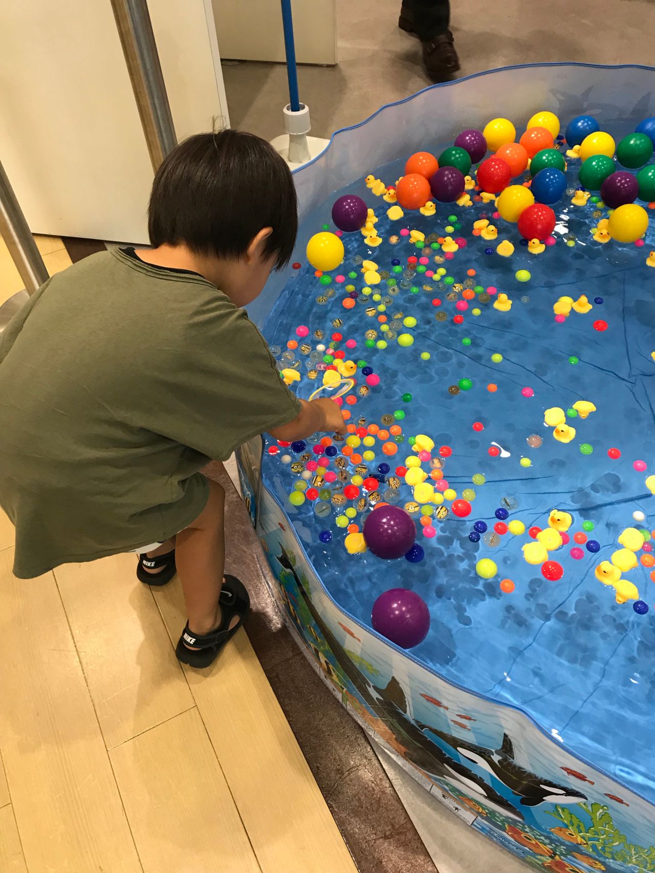二日間限定スーパーボールすくい開催 金沢西店 フィットハウス公式ショップブログ Fithouseblog