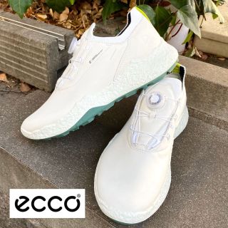 934fd811f54340c9e5828efe7bc6b0