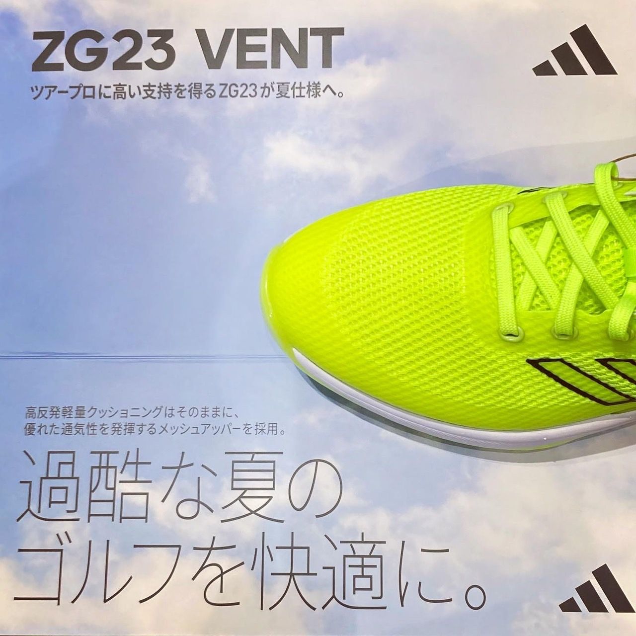 値下げ　新品・未使用　ゴルフシューズ　レディース　23cm 渋野日向子着用モデル vrwP1cu9cY2YL4Fg3aXpJtHyHIQWv4
