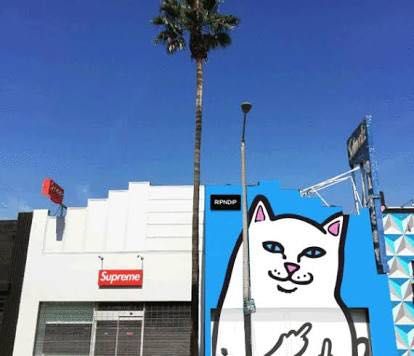 Ripndip リップンディップ Lhp Lhp Online Store 上野商会公式ブログポータルサイト Ripndip リップンディップ Lhp Lhp Online Store 上野商会公式ブログポータルサイト