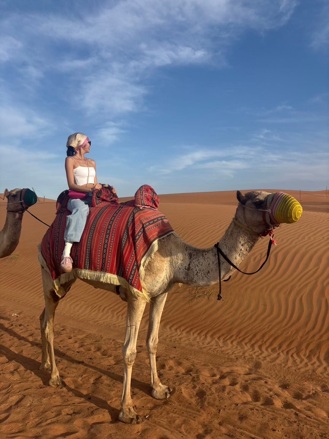 ドバイ☆砂漠ツアー（天王寺・あべのハル... | あべのハルカス近鉄本店 ALBOVE・PEAK&PINE | ALBOVE(アルヴォーブ) |  公式ブログ