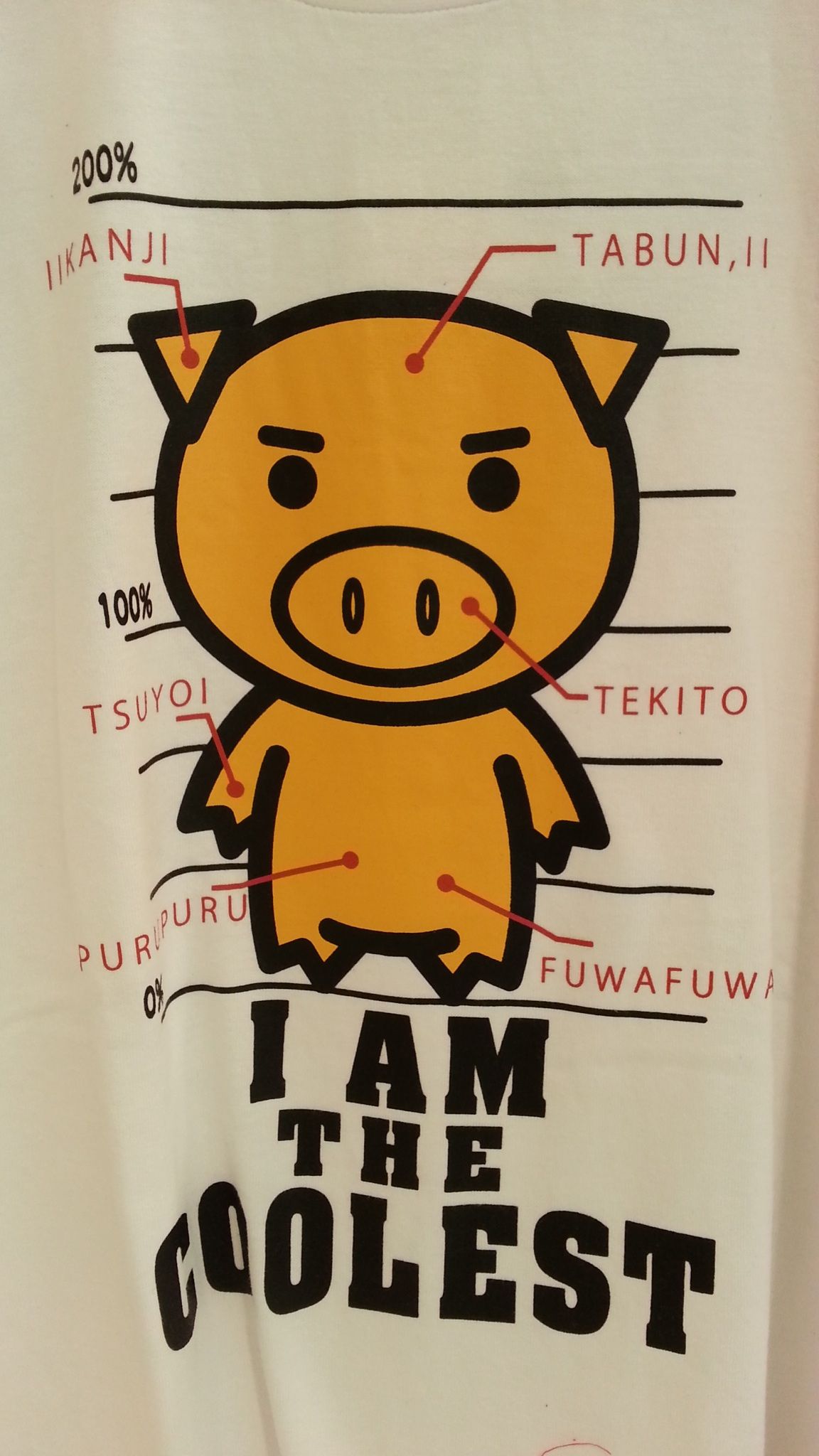 豊天商店 美豚tシャツ サンリオコラボ Csmen シーズメン 公式ショップブログ