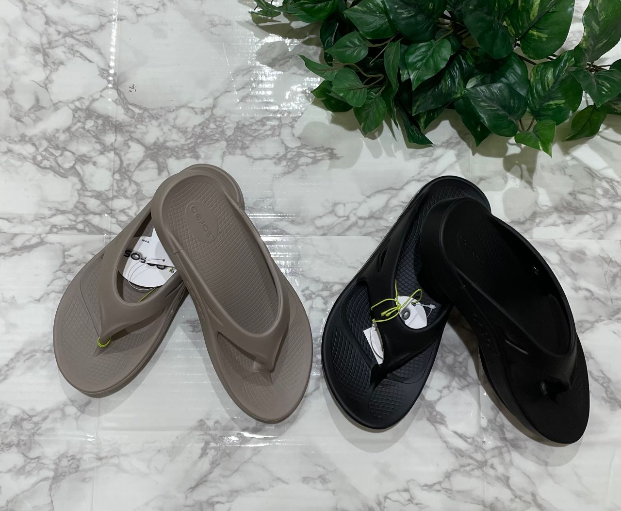 待望の♡OOFOS入荷しました！！ 西銀座 | 西銀座店