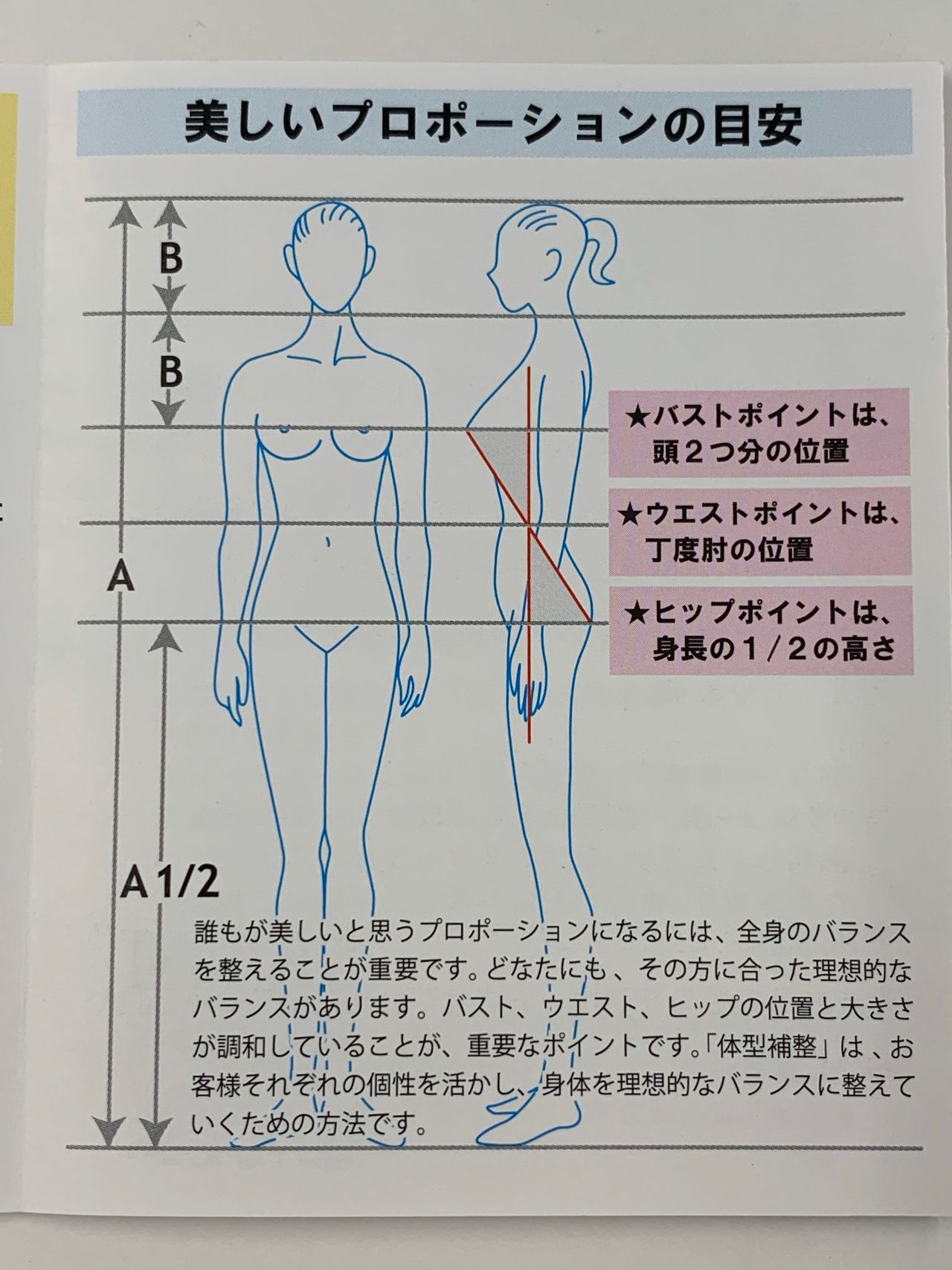 3 3は何の日 石山店 メイキングランジェリー 補整下着 マルコの公式ブログ Maruko Official Blog