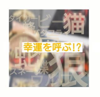 幸運を呼ぶ 動物 昆虫のモチーフ りんくうシークル店 フィットハウス公式ショップブログ Fithouseblog
