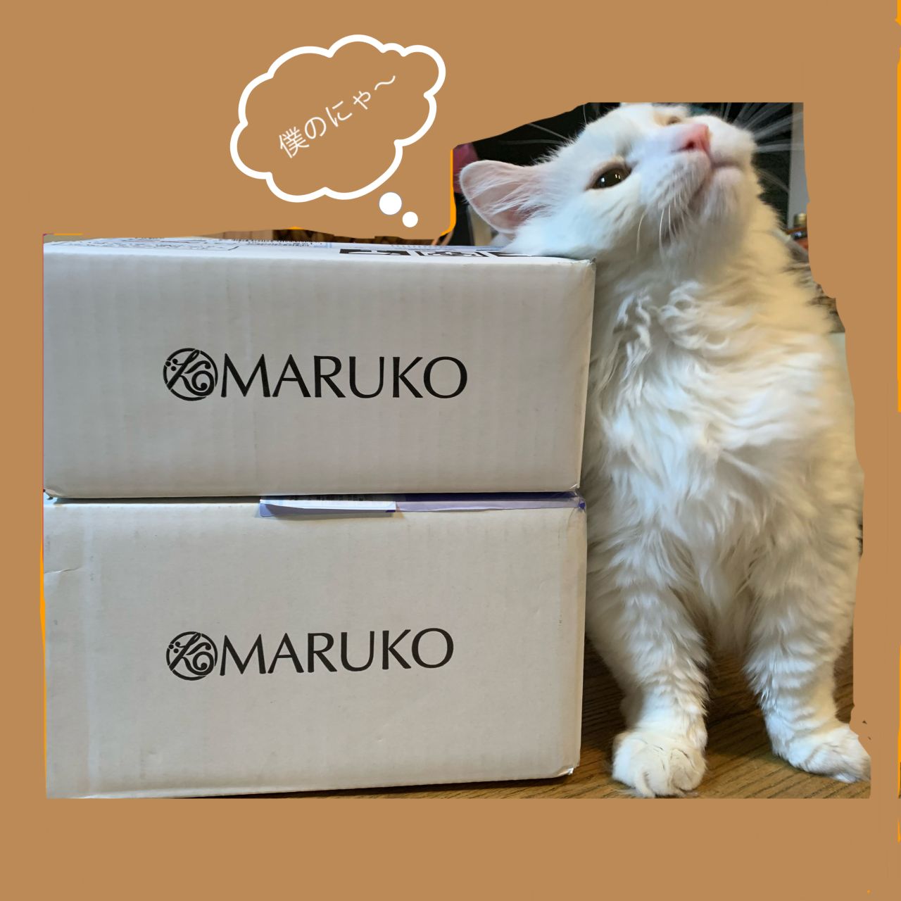 maruko.ページ MARUKO】商品ヒストリー | MARUKO